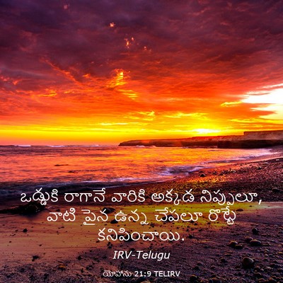 Picture 03 - యోహాను 21:9 TELIRV - ఒడ్డుకి రాగానే - Bible Verse Picture