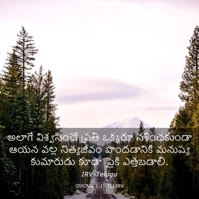 Picture 03 - యోహాను 3:15 TELIRV - అలాగే విశ్వసించే - Bible Verse Picture