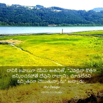 Picture 03 - యోహాను 3:3 TELIRV - దానికి జవాబుగా - Bible Verse Picture