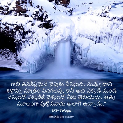 Picture 03 - యోహాను 3:8 TELIRV - గాలి తనకిష్టమైన - Bible Verse Picture