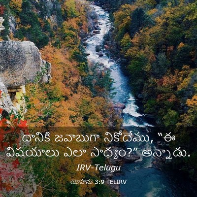 Picture 03 - యోహాను 3:9 TELIRV - దానికి జవాబుగా - Bible Verse Picture