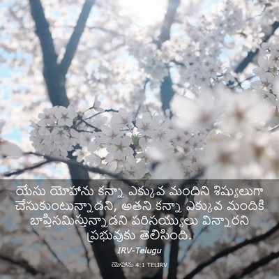Picture 03 - యోహాను 4:1 TELIRV - యేసు యోహాను కన్నా - Bible Verse Picture