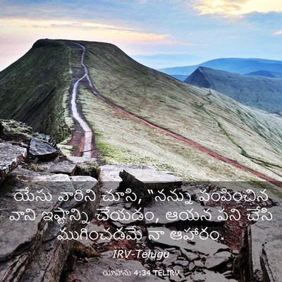 Picture 03 - యోహాను 4:34 TELIRV - యేసు వారిని చూసి, - Bible Verse Picture