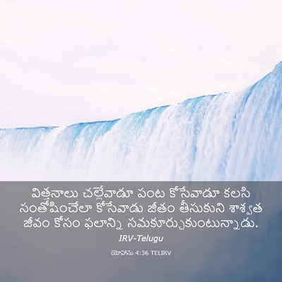Picture 03 - యోహాను 4:36 TELIRV - విత్తనాలు - Bible Verse Picture