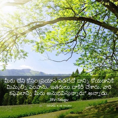 Picture 03 - యోహాను 4:38 TELIRV - మీరు దేని కోసం - Bible Verse Picture