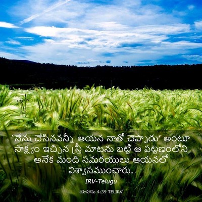 Picture 03 - యోహాను 4:39 TELIRV - ‘నేను చేసినవన్నీ - Bible Verse Picture