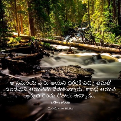 Picture 03 - యోహాను 4:40 TELIRV - ఆ సమరయ వారు ఆయన - Bible Verse Picture