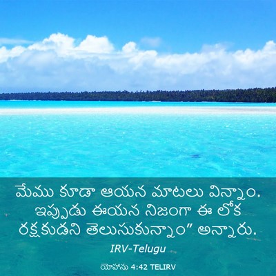 Picture 03 - యోహాను 4:42 TELIRV - మేము కూడా ఆయన - Bible Verse Picture