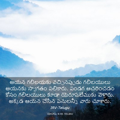 Picture 03 - యోహాను 4:45 TELIRV - ఆయన గలిలయకు - Bible Verse Picture