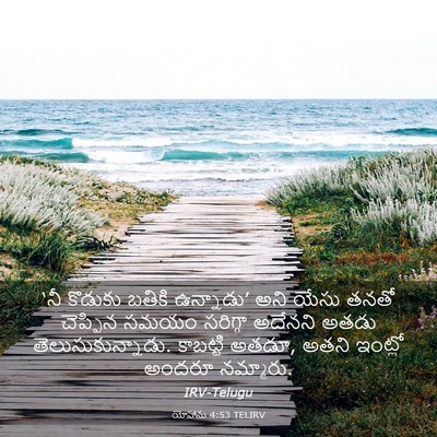 Picture 03 - యోహాను 4:53 TELIRV - ‘నీ కొడుకు బతికి - Bible Verse Picture