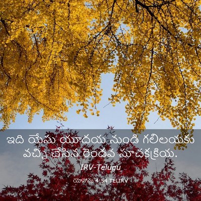Picture 03 - యోహాను 4:54 TELIRV - ఇది యేసు యూదయ - Bible Verse Picture