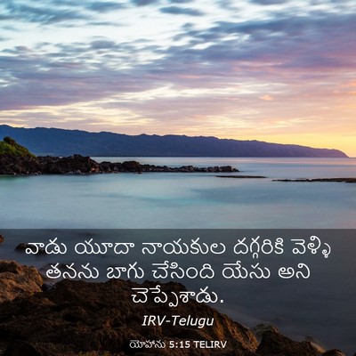 Picture 03 - యోహాను 5:15 TELIRV - వాడు యూదా నాయకుల - Bible Verse Picture