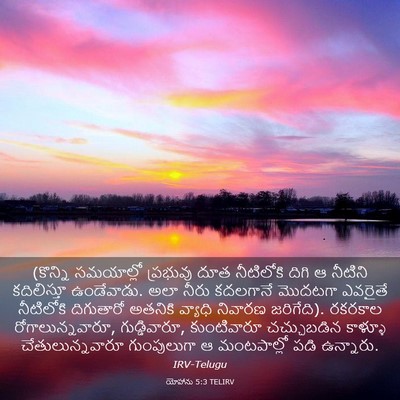 Picture 03 - యోహాను 5:3 TELIRV - (కొన్ని సమయాల్లో - Bible Verse Picture