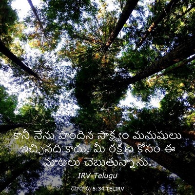 Picture 03 - యోహాను 5:34 TELIRV - కానీ నేను పొందిన - Bible Verse Picture