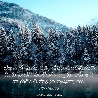 Picture 03 - యోహాను 5:39 TELIRV - లేఖనాల్లో మీకు - Bible Verse Picture