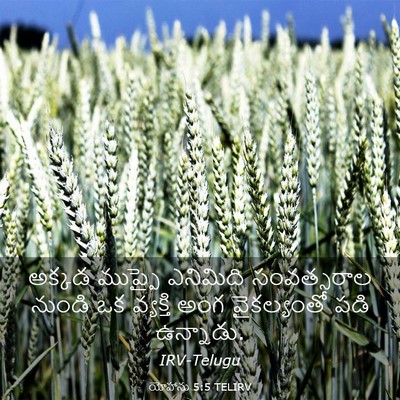 Picture 03 - యోహాను 5:5 TELIRV - అక్కడ ముప్ఫై - Bible Verse Picture