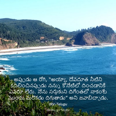 Picture 03 - యోహాను 5:7 TELIRV - అప్పుడు ఆ రోగి, - Bible Verse Picture