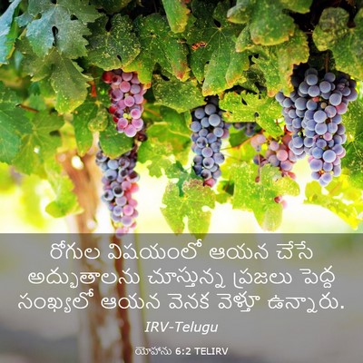 Picture 03 - యోహాను 6:2 TELIRV - రోగుల విషయంలో ఆయన - Bible Verse Picture