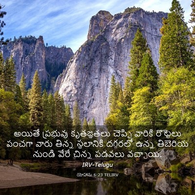 Picture 03 - యోహాను 6:23 TELIRV - అయితే ప్రభువు - Bible Verse Picture
