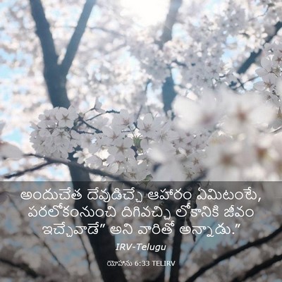 Picture 03 - యోహాను 6:33 TELIRV - అందుచేత - Bible Verse Picture