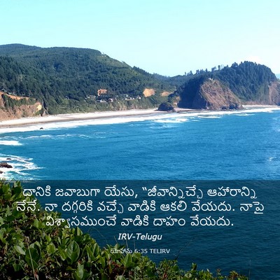 Picture 03 - యోహాను 6:35 TELIRV - దానికి జవాబుగా - Bible Verse Picture