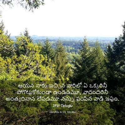 Picture 03 - యోహాను 6:39 TELIRV - ఆయన నాకు ఇచ్చిన - Bible Verse Picture
