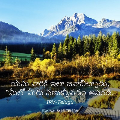 Picture 03 - యోహాను 6:43 TELIRV - యేసు వారికి ఇలా - Bible Verse Picture