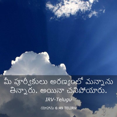 Picture 03 - యోహాను 6:49 TELIRV - మీ పూర్వీకులు - Bible Verse Picture