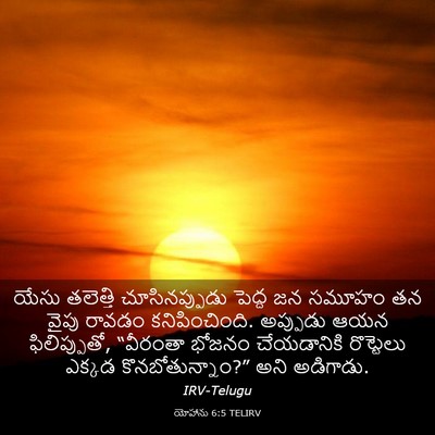 Picture 03 - యోహాను 6:5 TELIRV - యేసు తలెత్తి - Bible Verse Picture