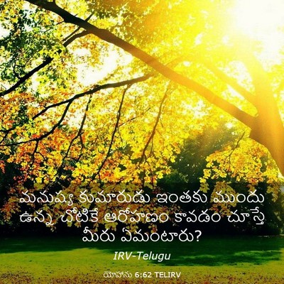 Picture 03 - యోహాను 6:62 TELIRV - మనుష్య కుమారుడు - Bible Verse Picture