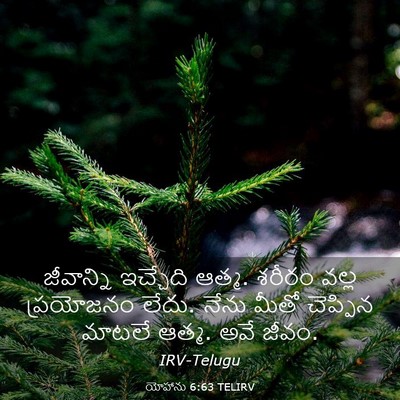 Picture 03 - యోహాను 6:63 TELIRV - జీవాన్ని ఇచ్చేది - Bible Verse Picture