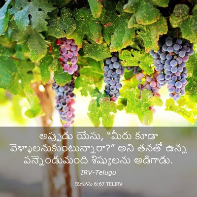 Picture 03 - యోహాను 6:67 TELIRV - అప్పుడు యేసు, - Bible Verse Picture