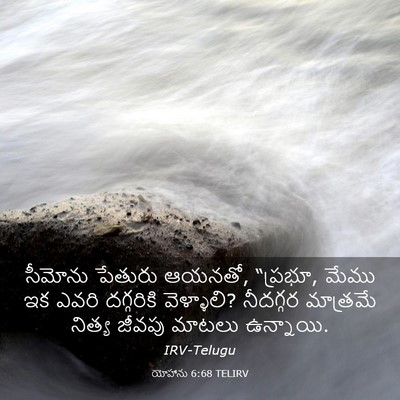 Picture 03 - యోహాను 6:68 TELIRV - సీమోను పేతురు - Bible Verse Picture