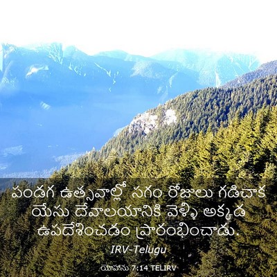 Picture 03 - యోహాను 7:14 TELIRV - పండగ ఉత్సవాల్లో - Bible Verse Picture