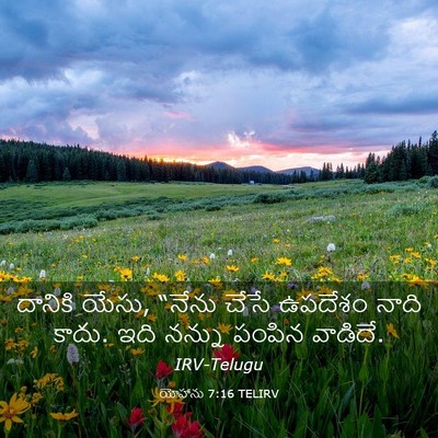Picture 03 - యోహాను 7:16 TELIRV - దానికి యేసు, “నేను - Bible Verse Picture