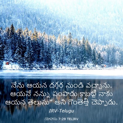 Picture 03 - యోహాను 7:29 TELIRV - నేను ఆయన దగ్గర - Bible Verse Picture