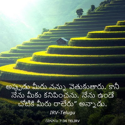 Picture 03 - యోహాను 7:34 TELIRV - అప్పుడు మీరు - Bible Verse Picture