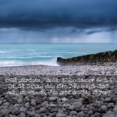 Picture 03 - యోహాను 7:35 TELIRV - దానికి యూదులు, - Bible Verse Picture