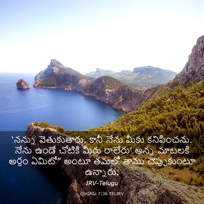 Picture 03 - యోహాను 7:36 TELIRV - ‘నన్ను - Bible Verse Picture