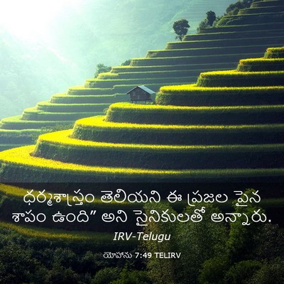 Picture 03 - యోహాను 7:49 TELIRV - ధర్మశాస్త్రం - Bible Verse Picture