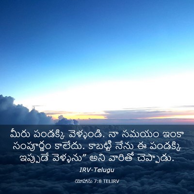 Picture 03 - యోహాను 7:8 TELIRV - మీరు పండక్కి - Bible Verse Picture