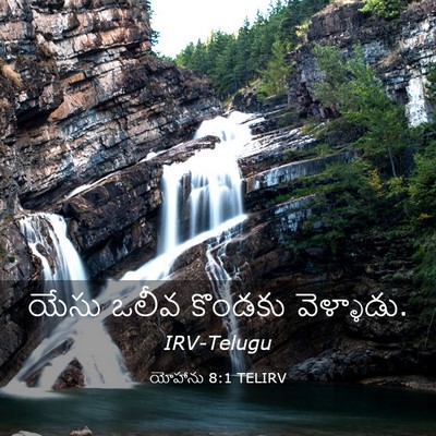 Picture 03 - యోహాను 8:1 TELIRV - యేసు ఒలీవ కొండకు - Bible Verse Picture