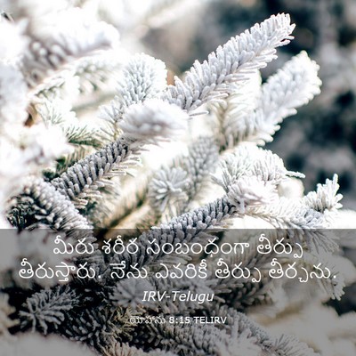 Picture 03 - యోహాను 8:15 TELIRV - మీరు శరీర - Bible Verse Picture