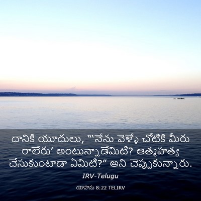 Picture 03 - యోహాను 8:22 TELIRV - దానికి యూదులు, - Bible Verse Picture