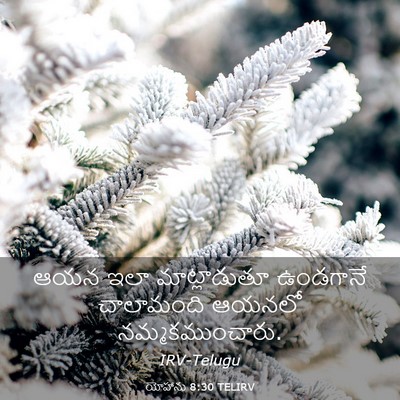 Picture 03 - యోహాను 8:30 TELIRV - ఆయన ఇలా - Bible Verse Picture