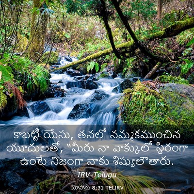 Picture 03 - యోహాను 8:31 TELIRV - కాబట్టి యేసు, తనలో - Bible Verse Picture