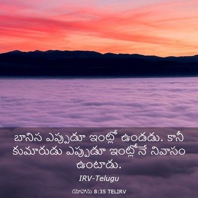 Picture 03 - యోహాను 8:35 TELIRV - బానిస ఎప్పుడూ - Bible Verse Picture