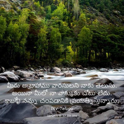 Picture 03 - యోహాను 8:37 TELIRV - మీరు అబ్రాహాము - Bible Verse Picture