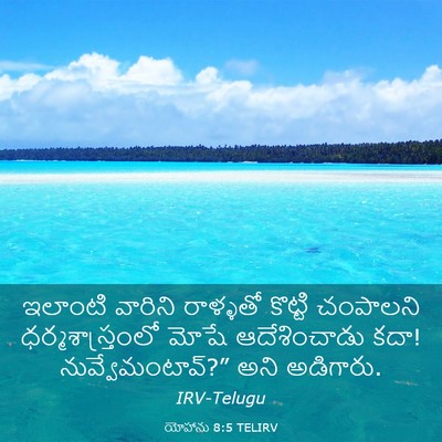 Picture 03 - యోహాను 8:5 TELIRV - ఇలాంటి వారిని - Bible Verse Picture