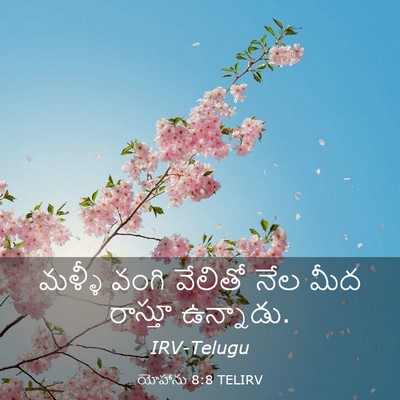 Picture 03 - యోహాను 8:8 TELIRV - మళ్ళీ వంగి వేలితో - Bible Verse Picture